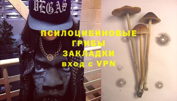 твердый Долгопрудный