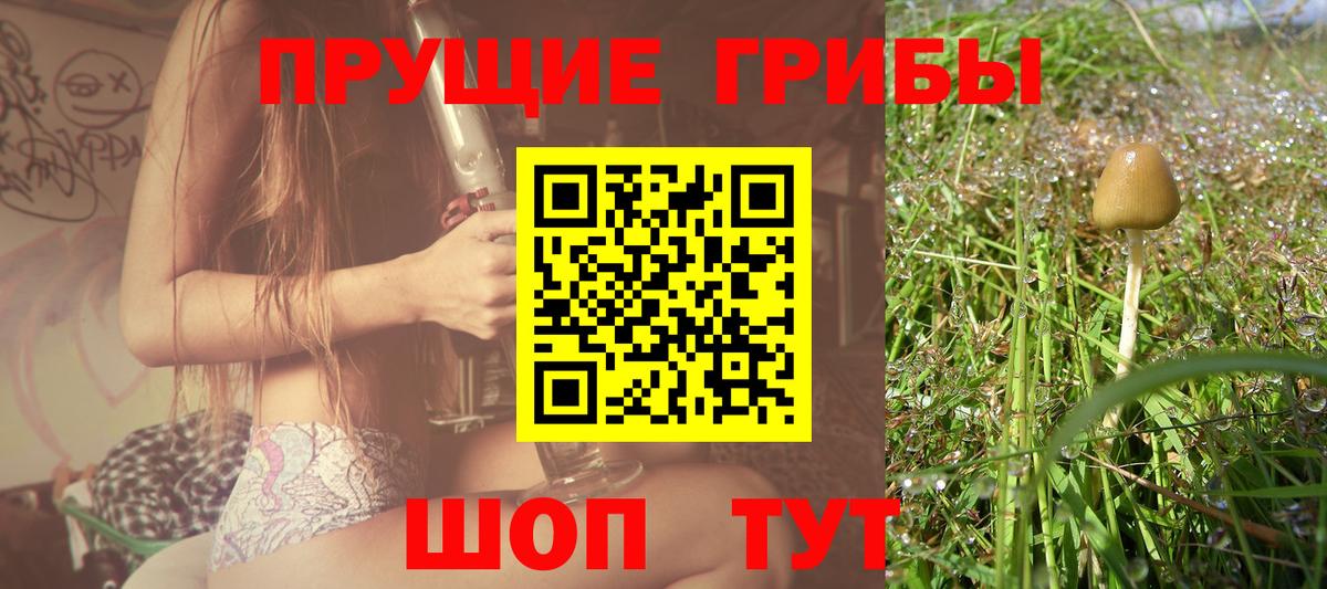 хочу наркоту  Псилоцибиновые грибы MAGIC MUSHROOMS  Вход с VPN  Норильск 