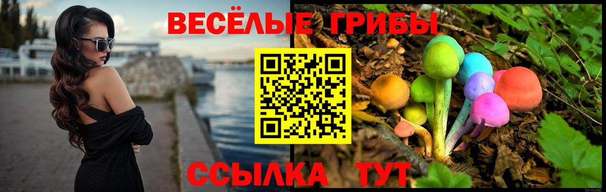 Галлюциногенные грибы MAGIC MUSHROOMS Норильск